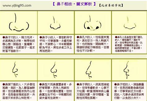 鼻子面相图解|鼻子看相图解